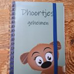 Dhoortjes geheimenboekje blauw