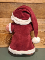 Dhoortje Kerst outfit - Afbeelding 3